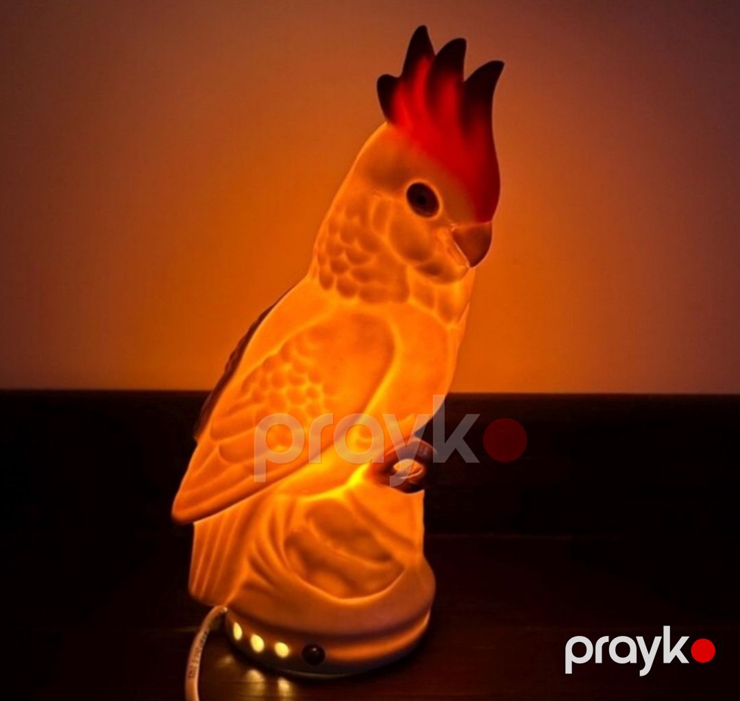 Tutuquşu dəsti — Dekor və interyeri, Bakı (5)