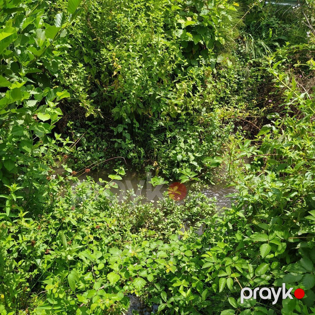 Balaken rayonunda 3otaq bir zal kuxna hamam geniş həyətli fərdi — Ev, villa, Balakən (7)