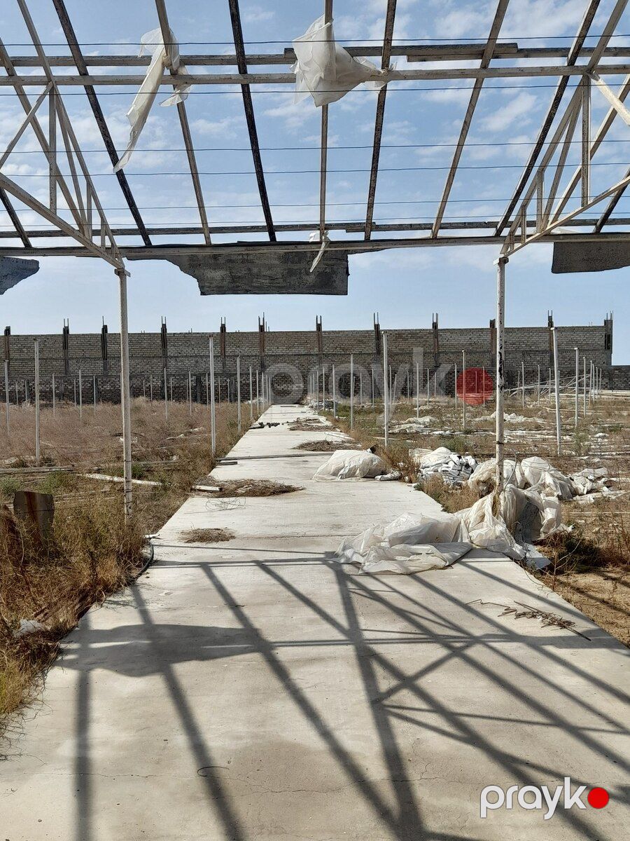 135 sot torpaq sahəsi, Buzovna qəs — Torpaq, Bakı (7)