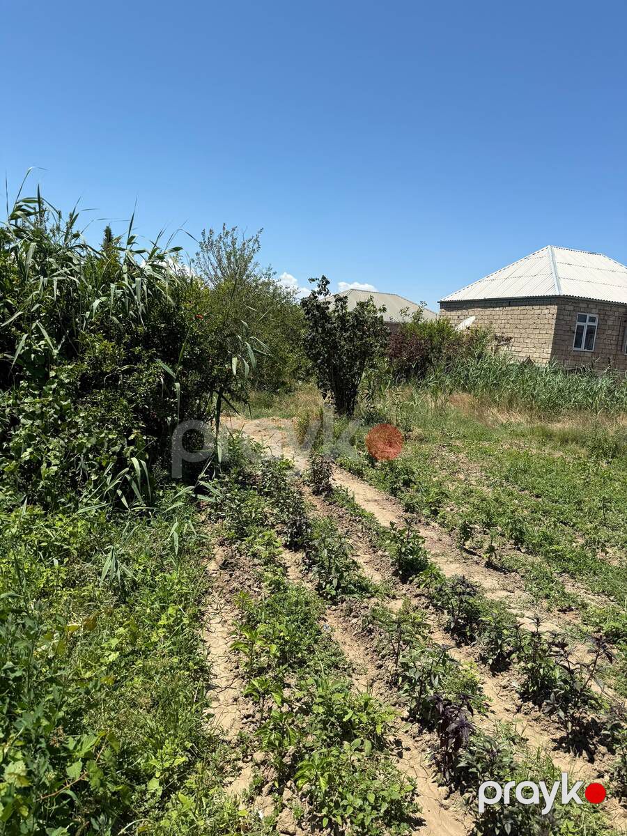 Satılır torpaq 7 sot — Torpaq, Sumqayıt (2)