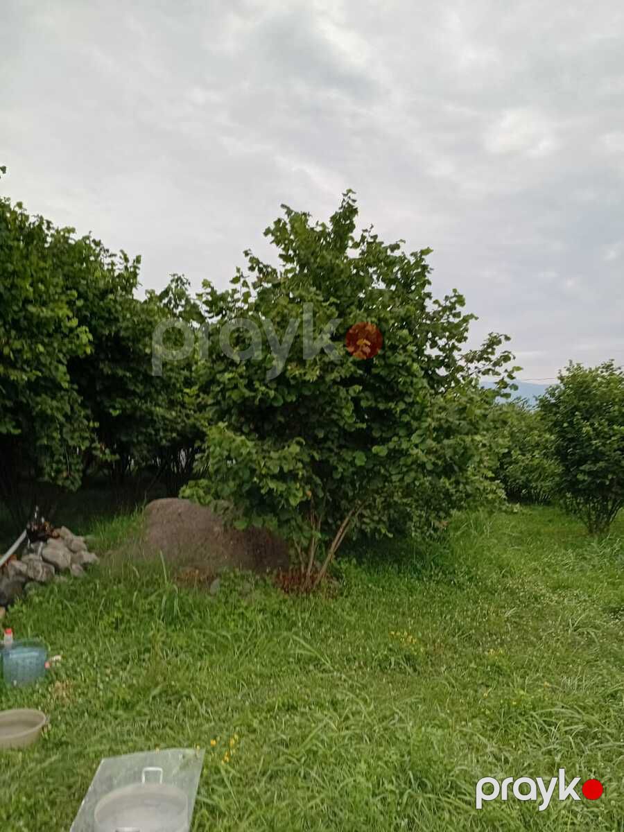 Satılır 2 otaqlı həyət evi/bağ evi 40 m² — Ev, villa, Qax (11)