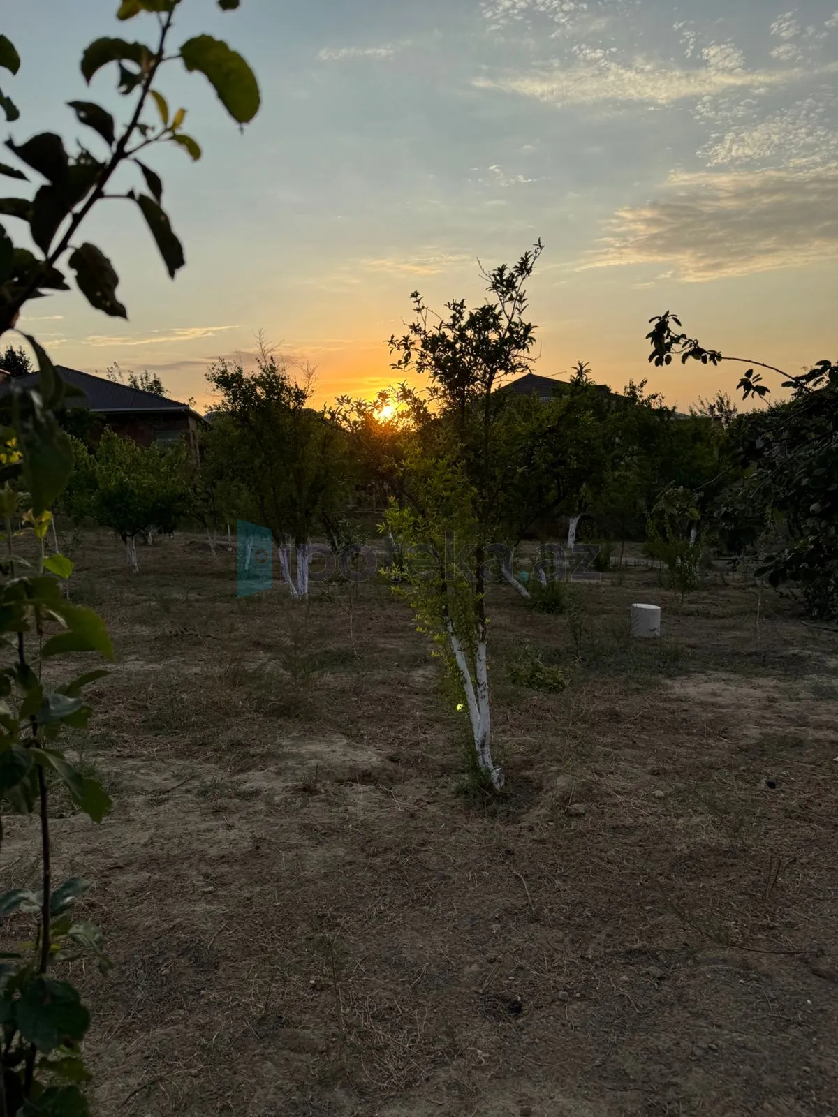Satılır: Torpaq, Abşeron r., Saray q., 12.00 sot — Abşeron