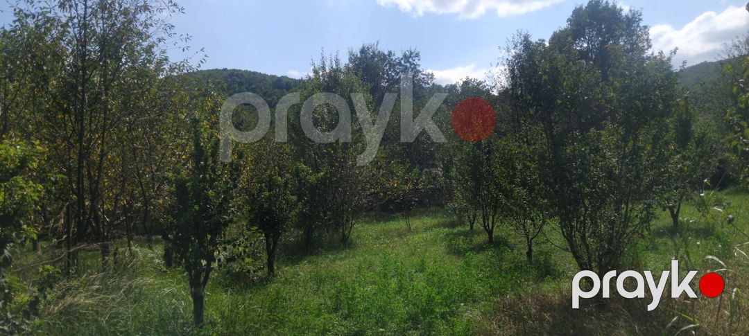 8 sot torpaq sahəsi, 2-ci Nügədi kəndi — Torpaq, Quba (6)