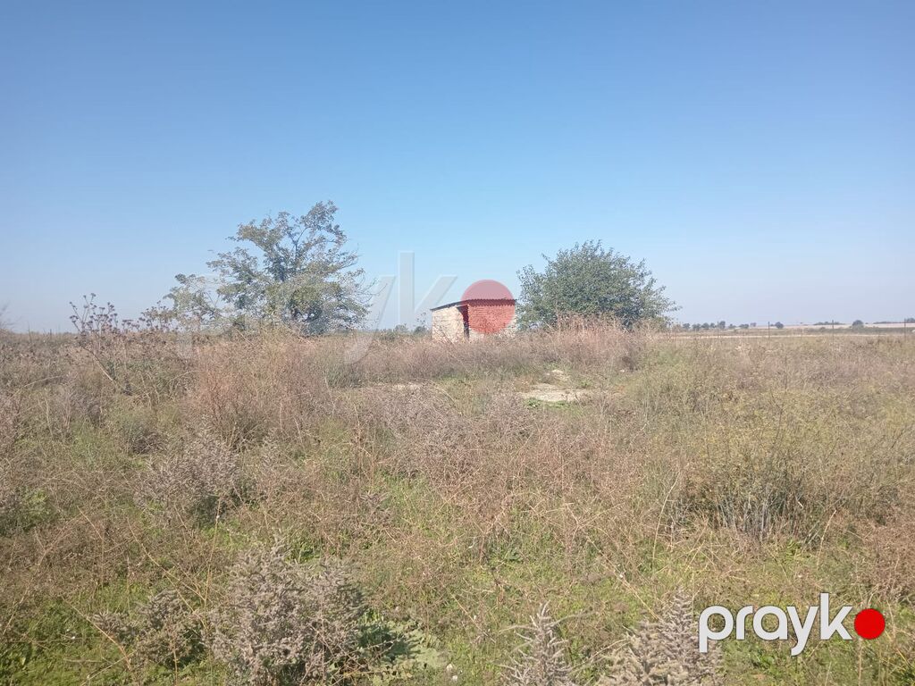 Biznes üçün — Torpaq, Bakı (9)