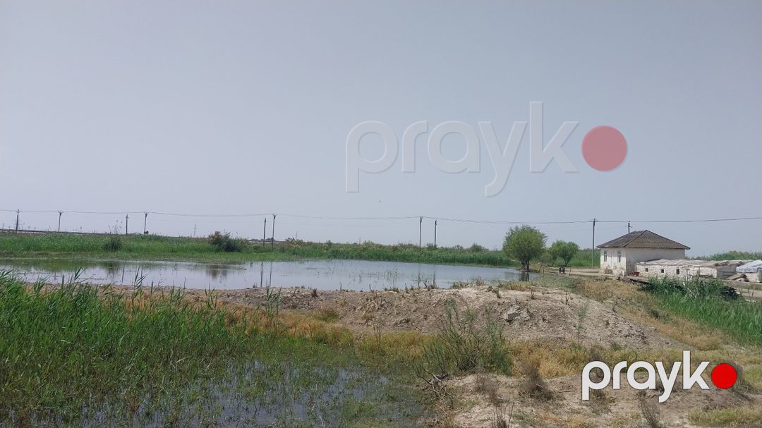 8 sot torpaq sahəsi, Salyan r — Torpaq, Salyan (6)