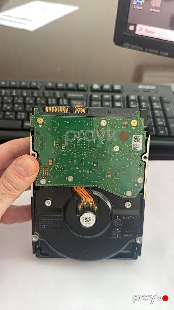 10TB- Western Digital — Kompüterlər və noutbuklar, Bakı (4)