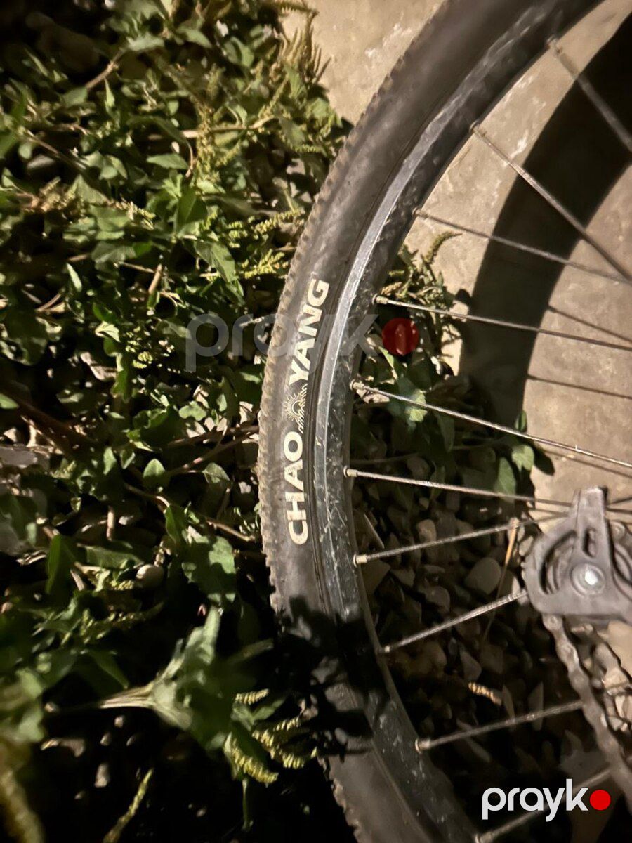 Velosiped Focus — Velosipedlər, Bakı (7)