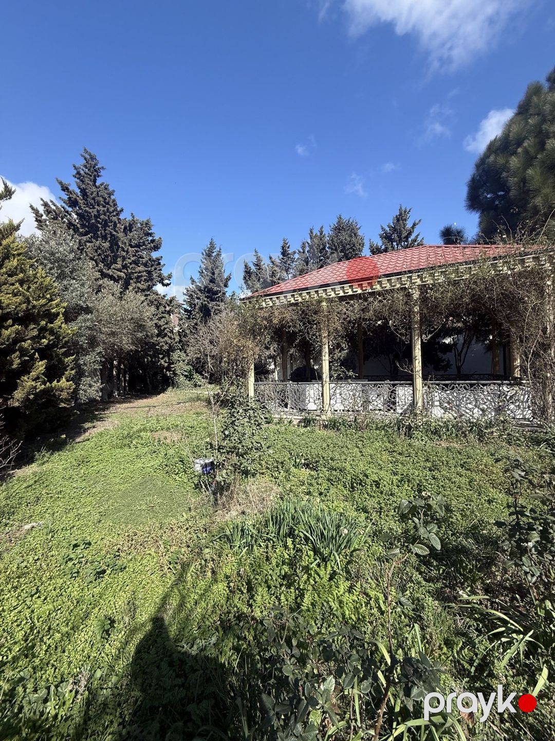 Satılır torpaq 8.9 sot — Torpaq, Bakı (2)