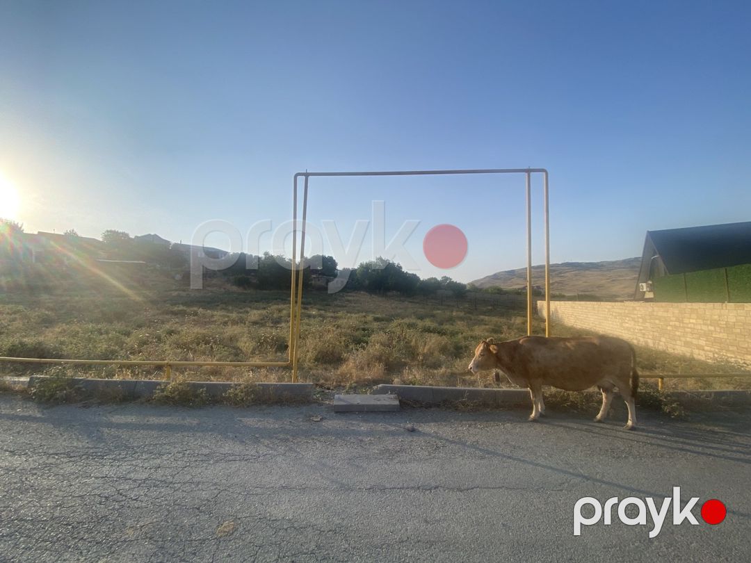 8 sot torpaq sahəsi, Xızı r — Torpaq, Xızı (3)