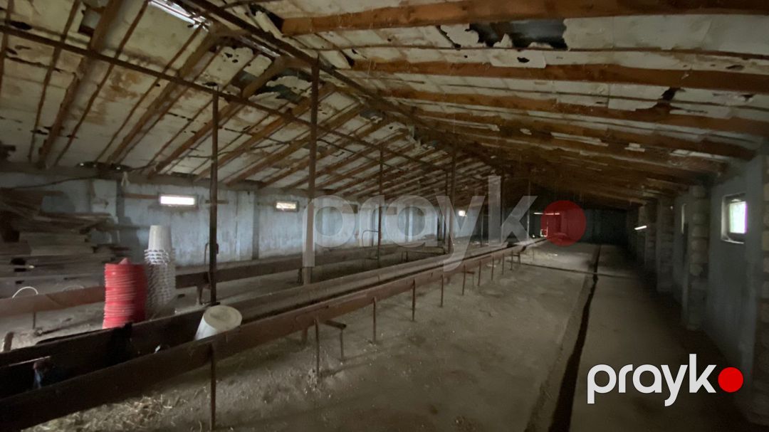 Satılır torpaq 200 sot — Torpaq, Quba (11)