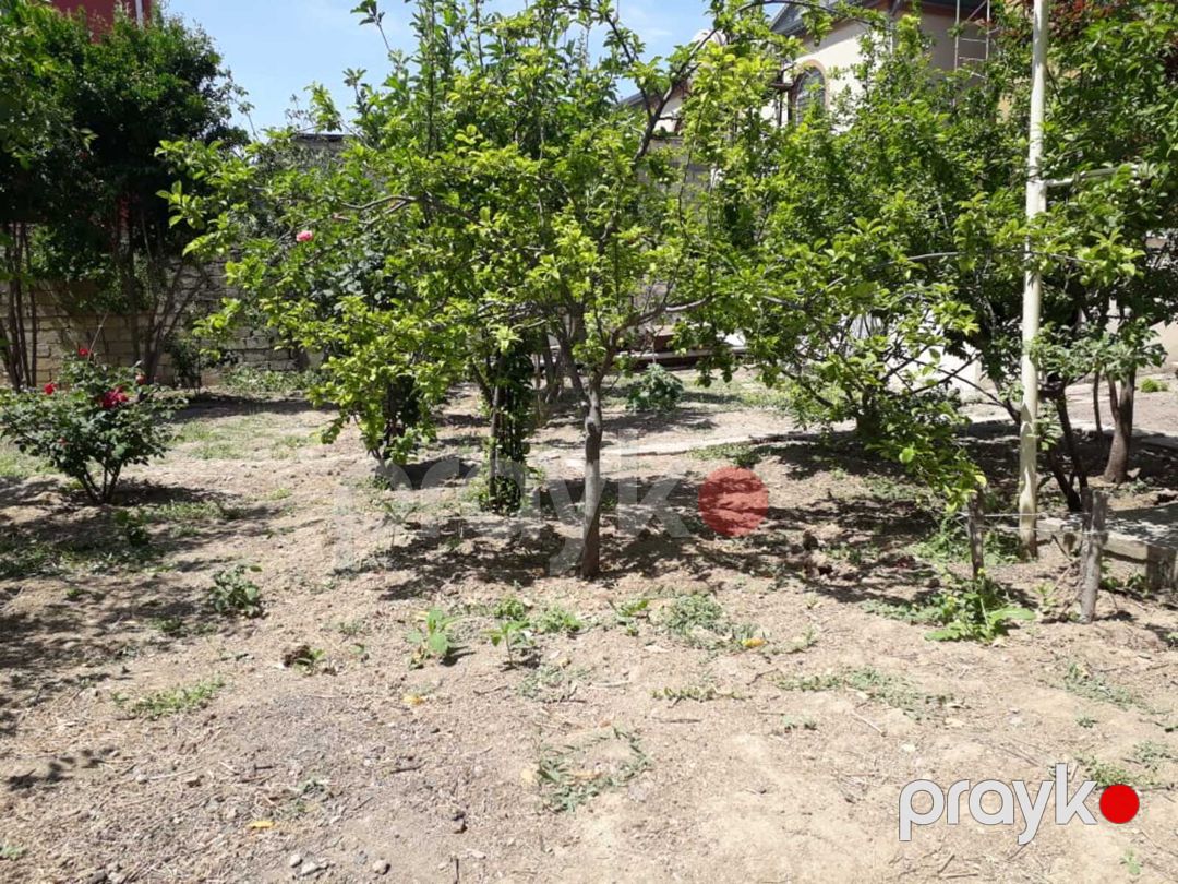 Satılır torpaq 8 sot — Torpaq, Bakı (2)