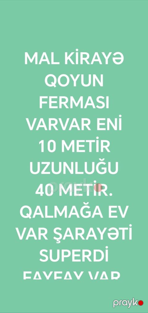 Kiralık mal-qoyun ferması - Sahə ölçüləri: eni 10 metr, uzunluğu 40 — Masazır