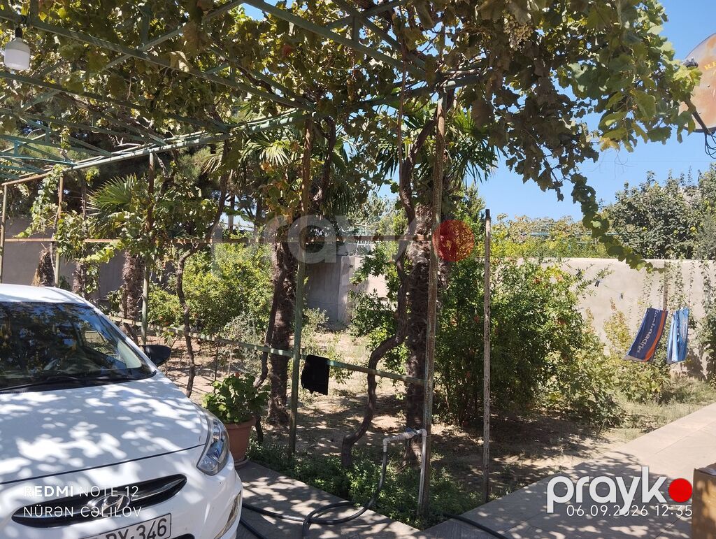 Hovlu həyət evi - Geniş, işıqlı salon: yelçəkən plan, dekorativ — Ev, villa, Digah (3)