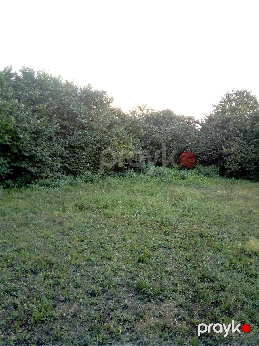 Satılır torpaq 16 sot — Torpaq, Qusar (3)