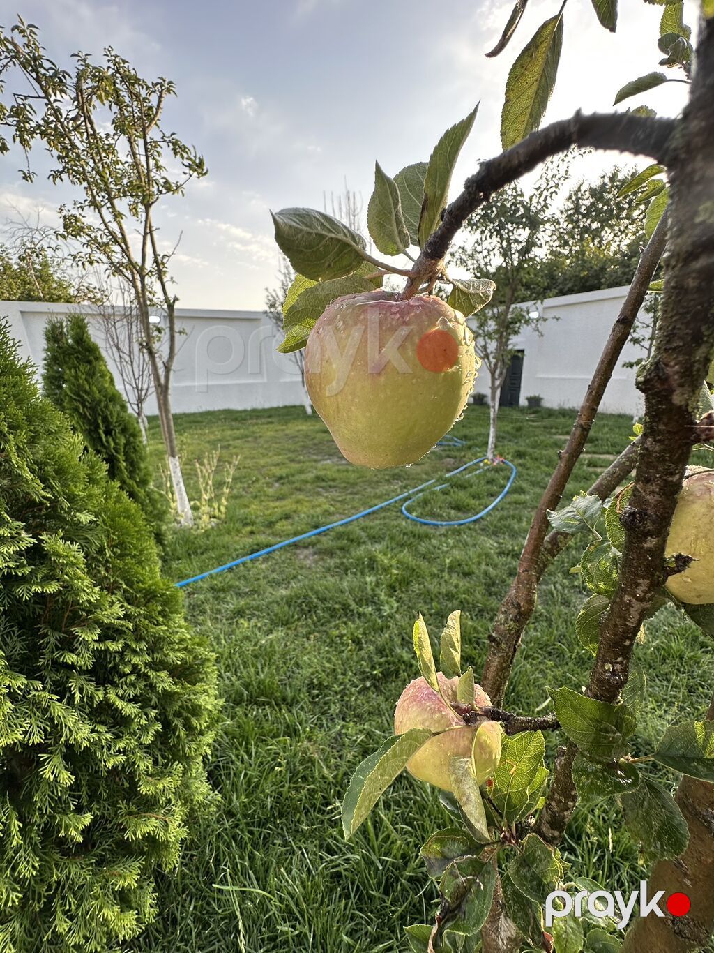 240 kv. m, 5 otaqlı, Kanalizasiya, İşıq, Kombi — Ev, villa, Qəbələ (8)