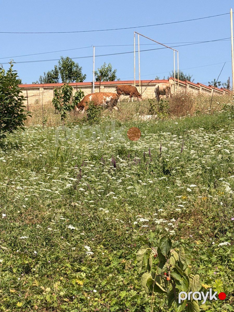 10 sot torpaq sahəsi, Qusar r — Torpaq, Qusar (4)