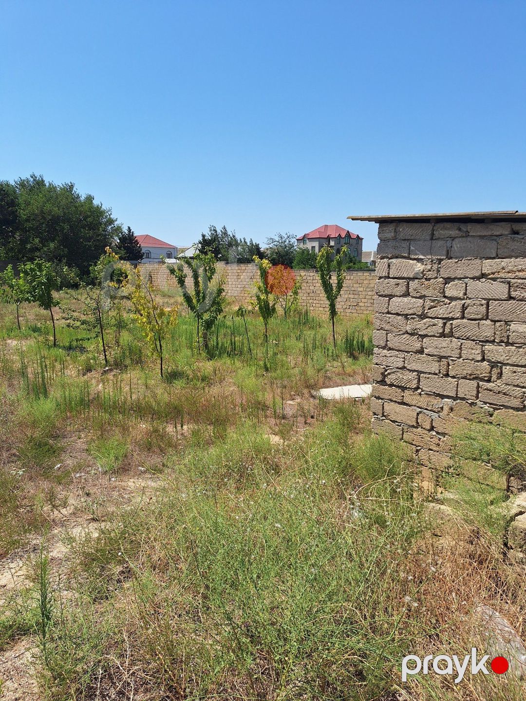 Satılır torpaq 10 sot — Torpaq, Bakı (4)