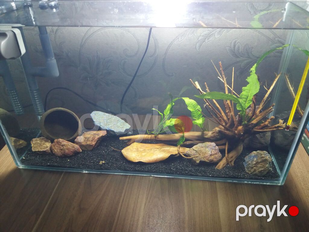 Dördbucaq akvarium, Boş, 30 l, Ünvandan götürmə, Ödənişli çatdırılma — Akvariumlar və balıqlar, Xırdalan