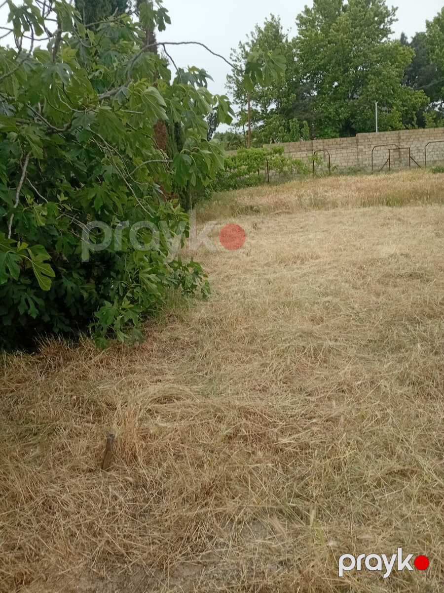 Satılır torpaq 24 sot — Torpaq, Bakı (8)