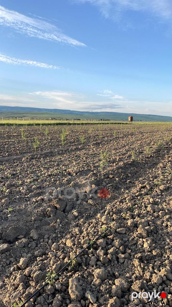 100 sot torpaq sahəsi, Şamaxı r — Torpaq, Şamaxı (5)