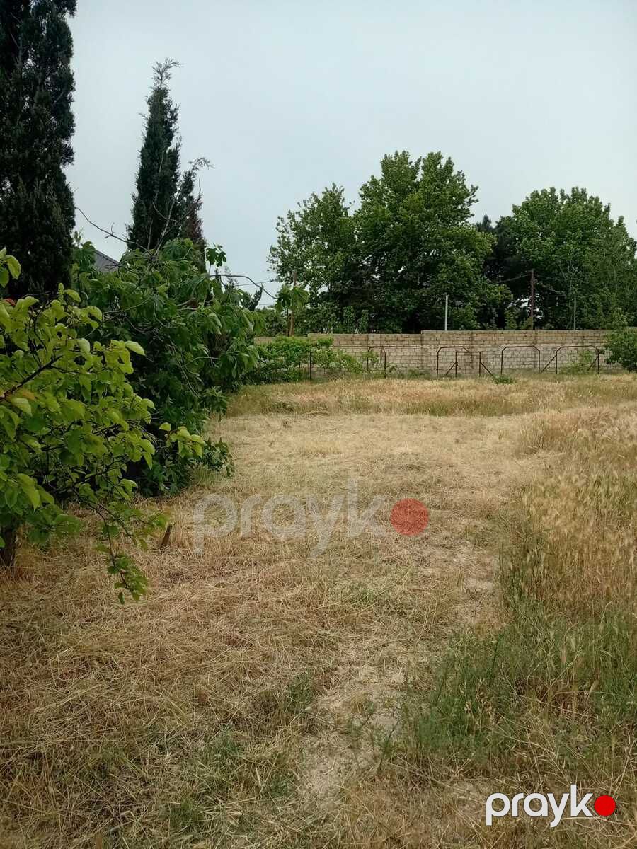 24 sot torpaq sahəsi, Novxanı qəs — Torpaq, Bakı (4)