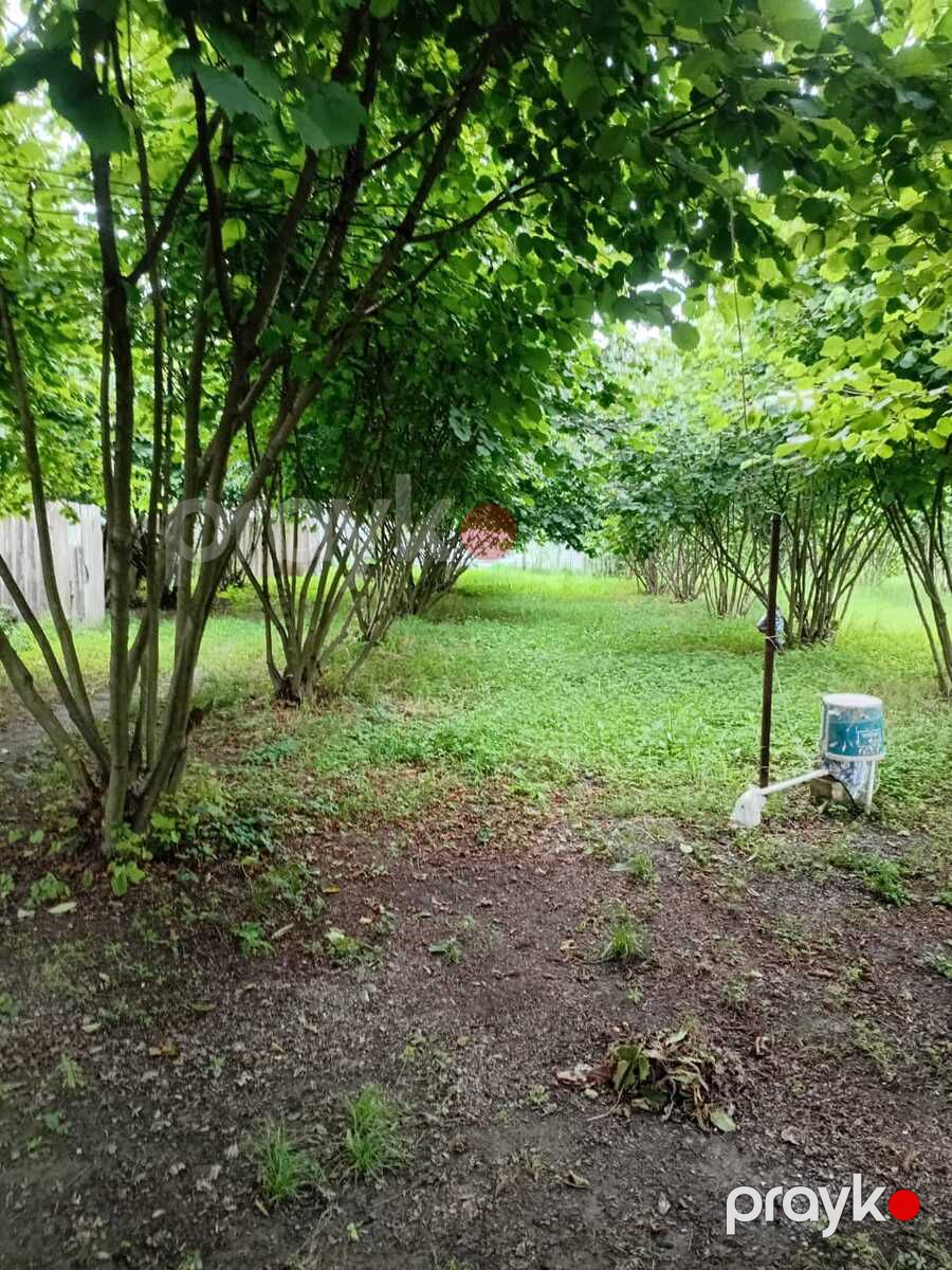 Satılır 2 otaqlı həyət evi/bağ evi 40 m² — Ev, villa, Qax (5)
