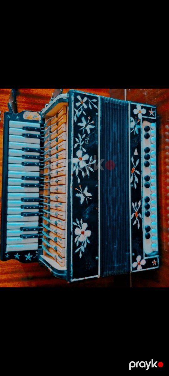 Qarmon — Musiqiə alətləri, Biləsuvar (2)