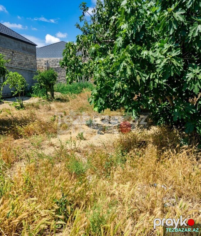 Torpaq sahəsi — Torpaq, Bakı (2)