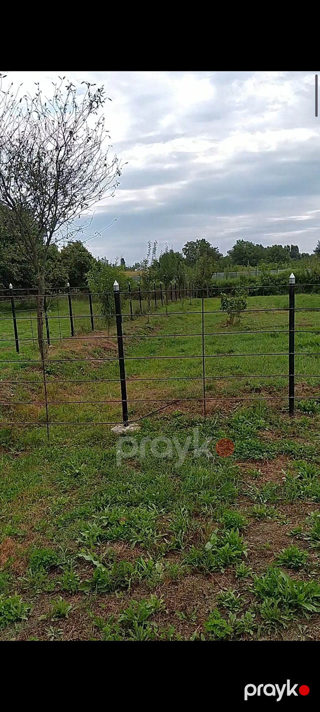 Balaken rayonunda 3otaq bir zal kuxna hamam geniş həyətli fərdi — Ev, villa, Balakən (4)