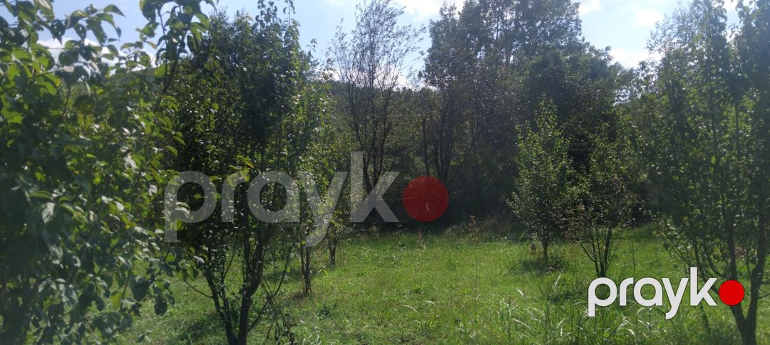 8 sot torpaq sahəsi, 2-ci Nügədi kəndi — Torpaq, Quba (7)