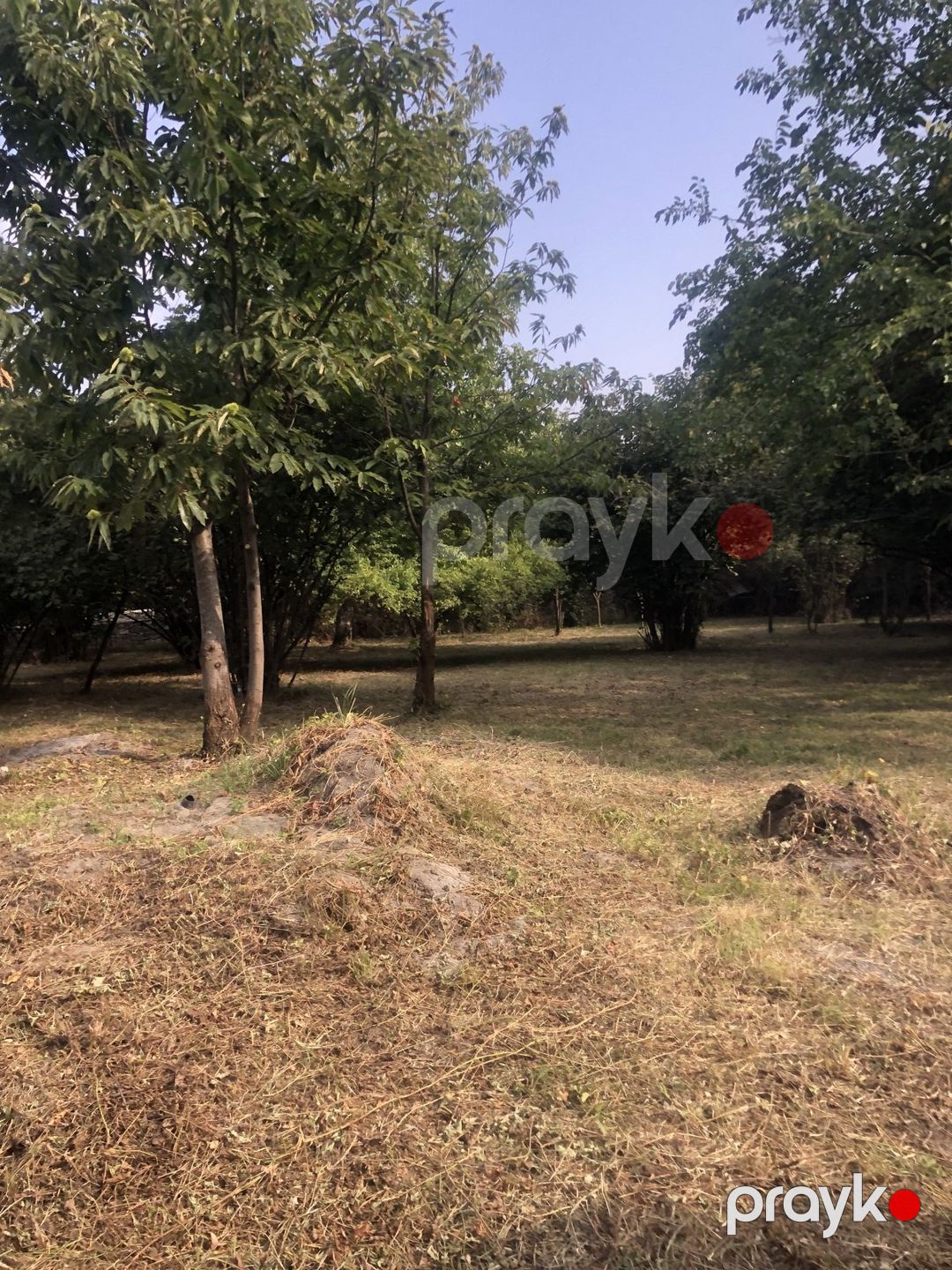 Satılır torpaq 13 sot — Torpaq, Qəbələ (2)