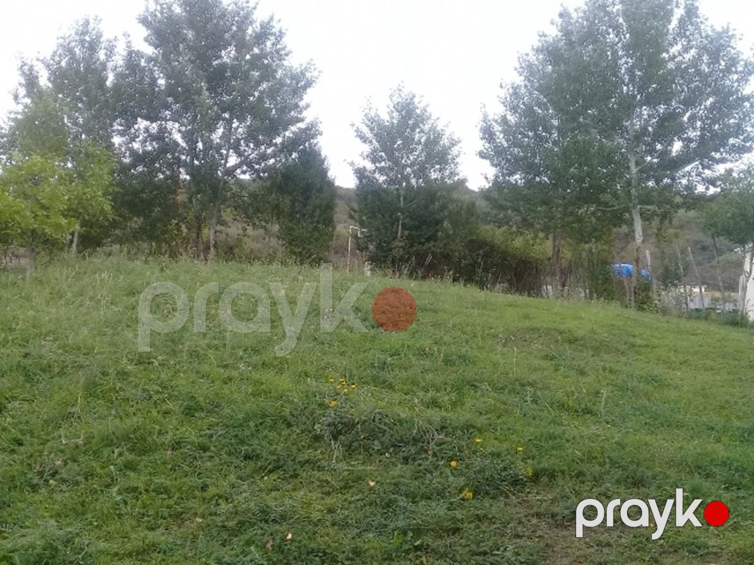 Satılır torpaq 16 sot — Torpaq, İsmayıllı (9)