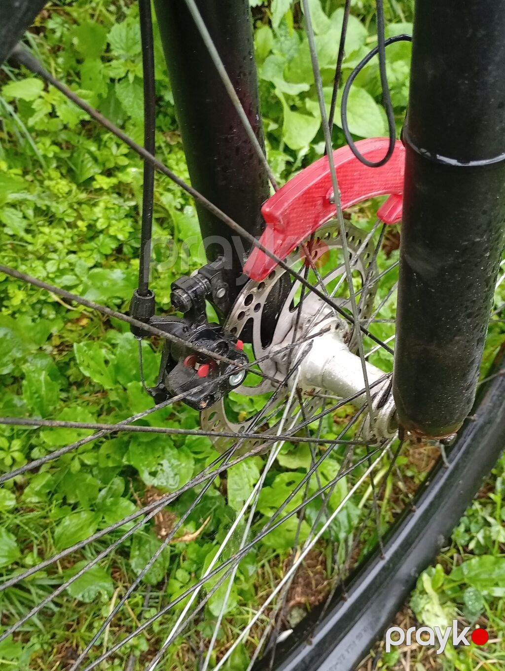 İşlənmiş Şəhər velosipedi Velocruz, 29", sürətlərin sayı: 7 — Yol velosipedləri, Quba (6)