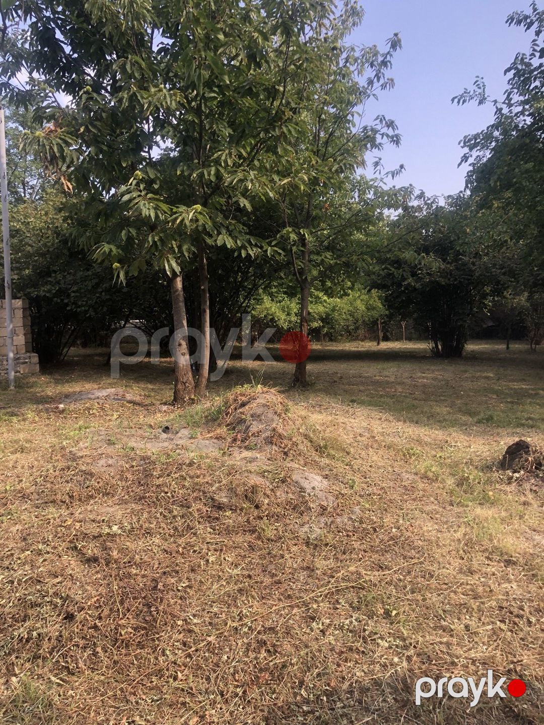Satılır torpaq 13 sot — Torpaq, Qəbələ (3)
