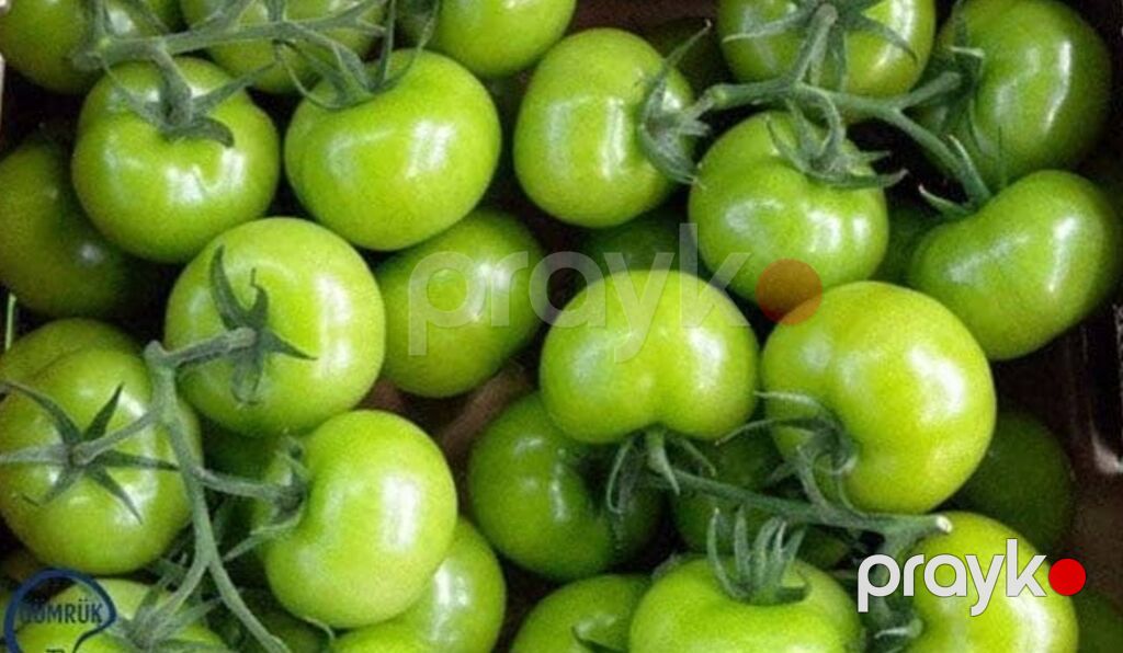 Salam xacmaz pamidoru kal ve qirmizi. bir basa saheden qapiniza — Qida məhsulları, Sumqayıt (2)