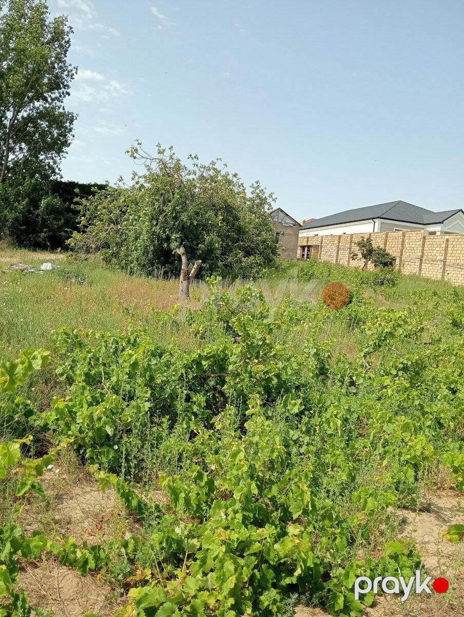 12 sot torpaq sahəsi, Novxanı qəs — Torpaq, Bakı (11)