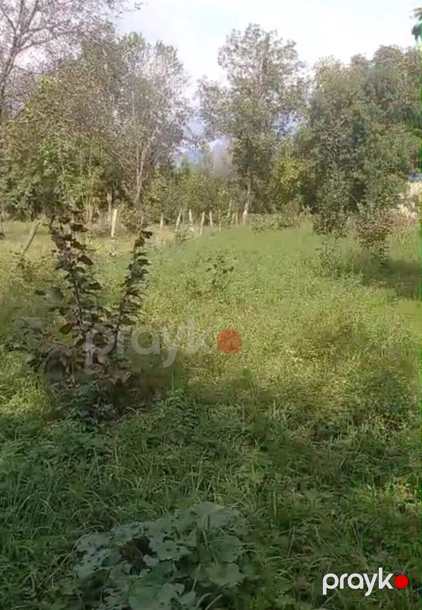 4 sot torpaq sahəsi, Nohurqışlaq k — Torpaq, Qəbələ (2)