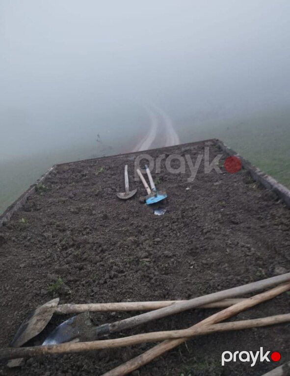 Peyin, torf, torpaq — Dacha və bağ, Bakı (5)
