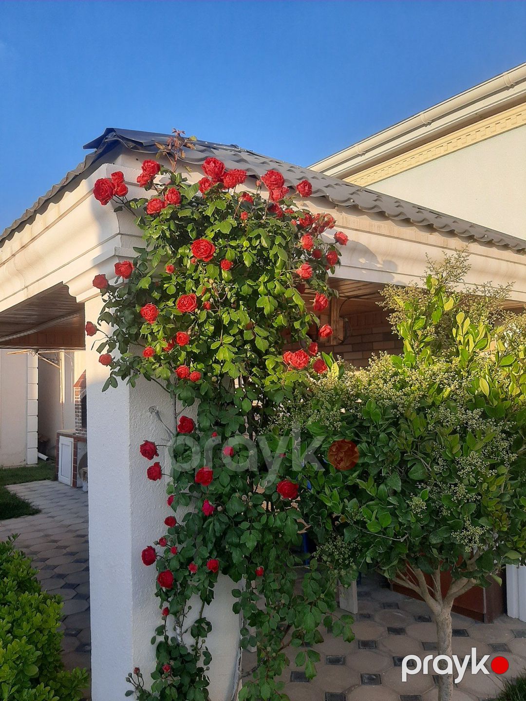 İcarəyə verilir 3 otaqlı həyət evi/bağ evi 90 m² — Ev, villa, Bakı (6)