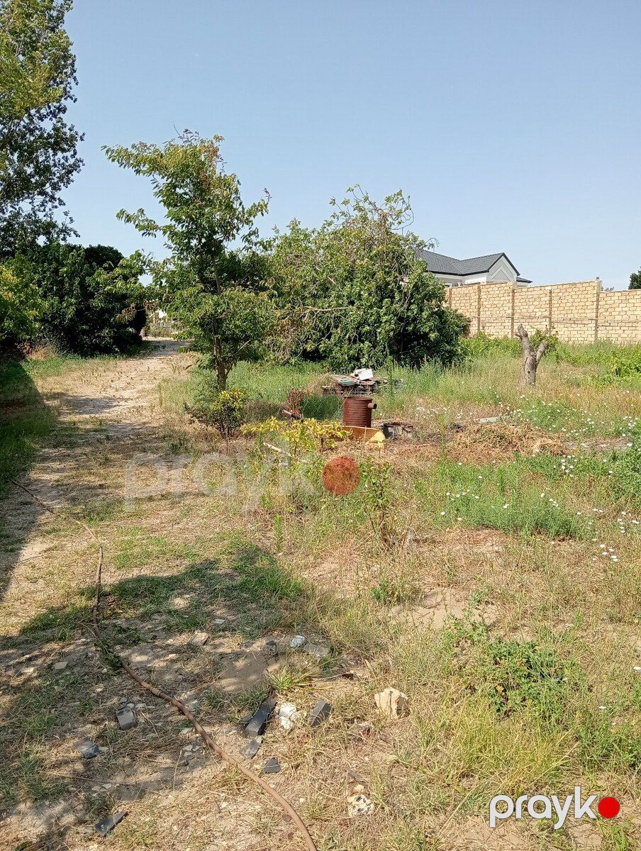 12 sot torpaq sahəsi, Novxanı qəs — Torpaq, Bakı (5)