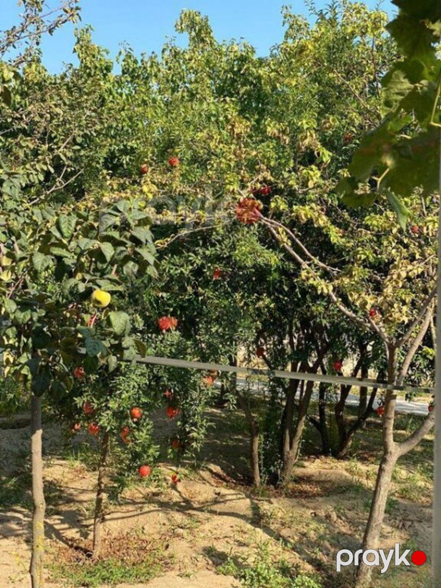 Satılır 4 otaqlı həyət evi/bağ evi 135 m² — Ev, villa, Bakı (12)