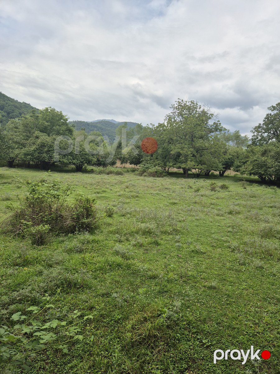 5.42 sot torpaq sahəsi, Qəbələ r — Torpaq, Qəbələ (4)