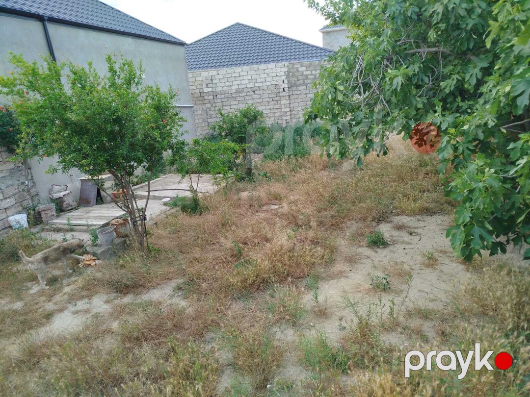 Satılır torpaq 4 sot — Torpaq, Bakı (3)