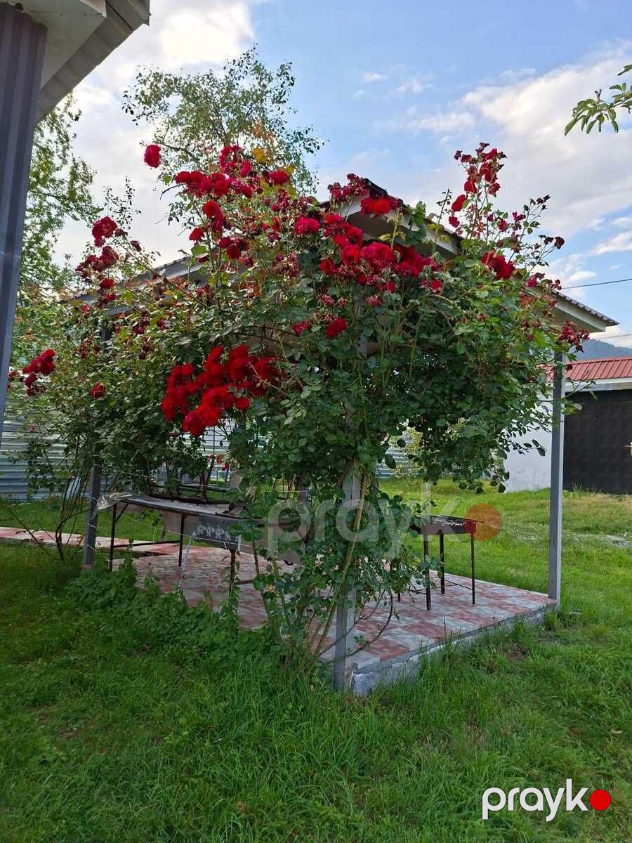 Həyət evi kirayə verilir, Qəbələ ş — Ev, villa, Qəbələ (2)