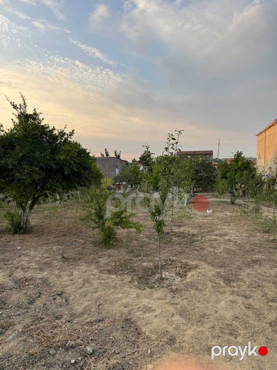 12 sot torpaq sahəsi, Saray qəs — Torpaq, Bakı (4)