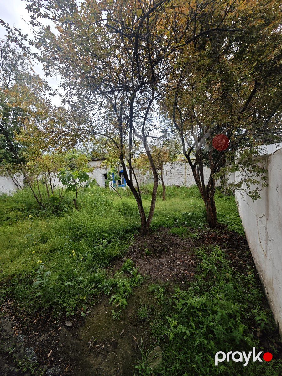 Satılır torpaq 6 sot — Torpaq, Bakı (5)