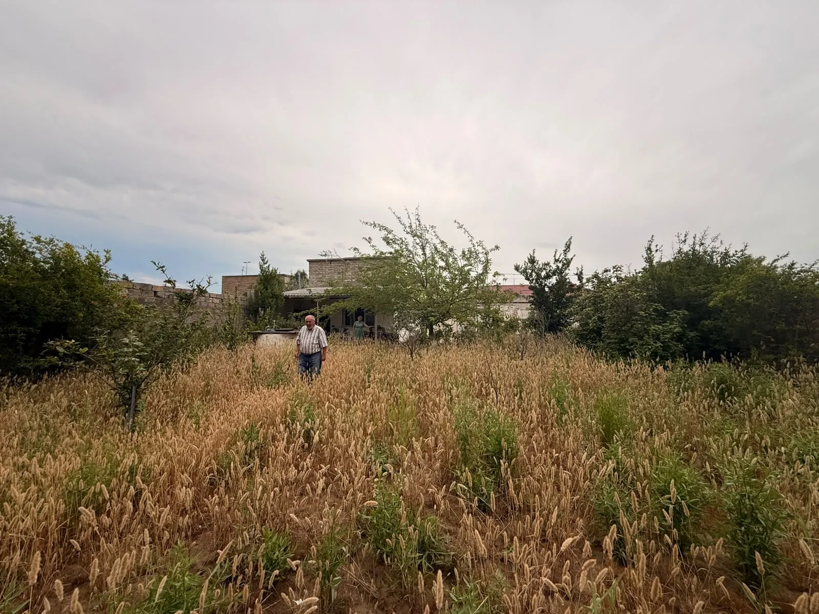 Buzovna, Torpaq satılır - 7 sot — Torpaq, Bakı (2)
