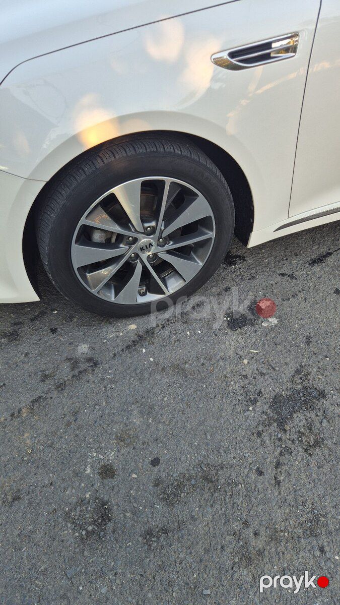 KIA K5, 2015 il — Avtomobillər, Zaqatala (7)