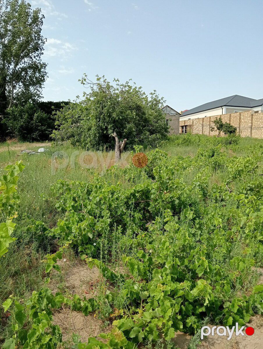 12 sot torpaq sahəsi, Novxanı qəs — Torpaq, Bakı (8)