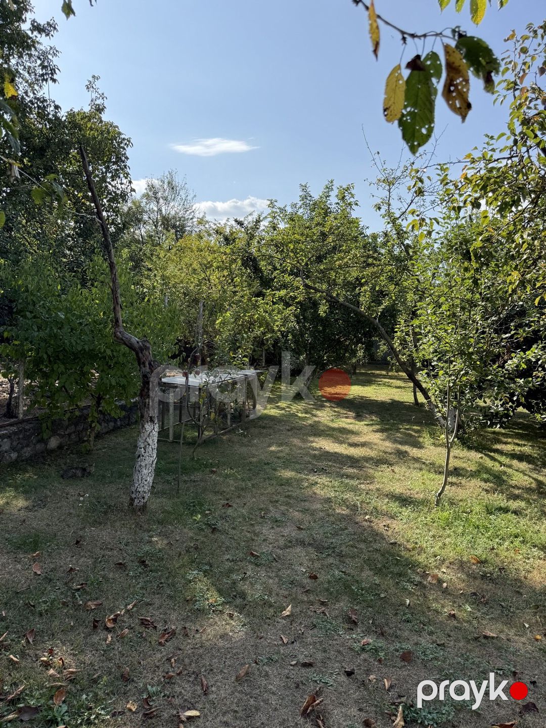 Satılır torpaq 8 sot — Torpaq, İsmayıllı (9)